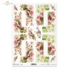 dzika róża, róże, aster, astry, rumianek, lato, łąka, ogród, polne kwiaty, bukiet, R861, wild rose, roses, asters, camomile, summer, meadow, garden, field flowers, bouquet, Wildrose, Rosen, Astern, Kamille, Sommer, Wiese, Garten, Feldblumen, Strauß, rosa 